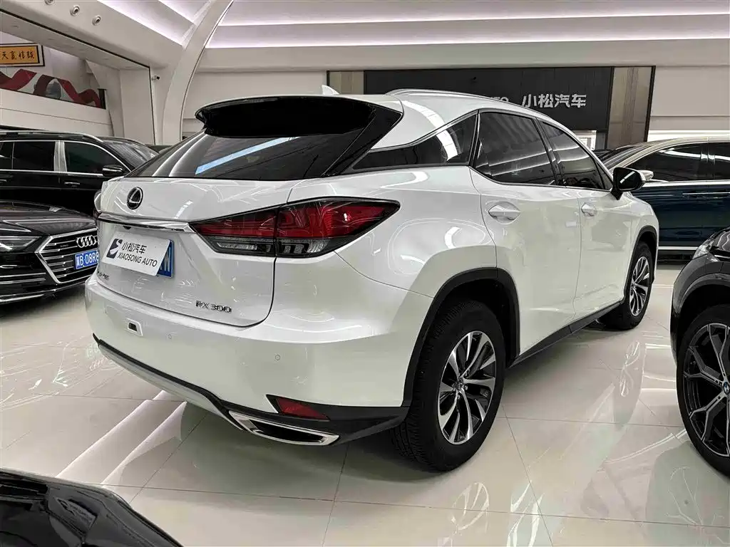 Lexus RX 2021 — фото 21