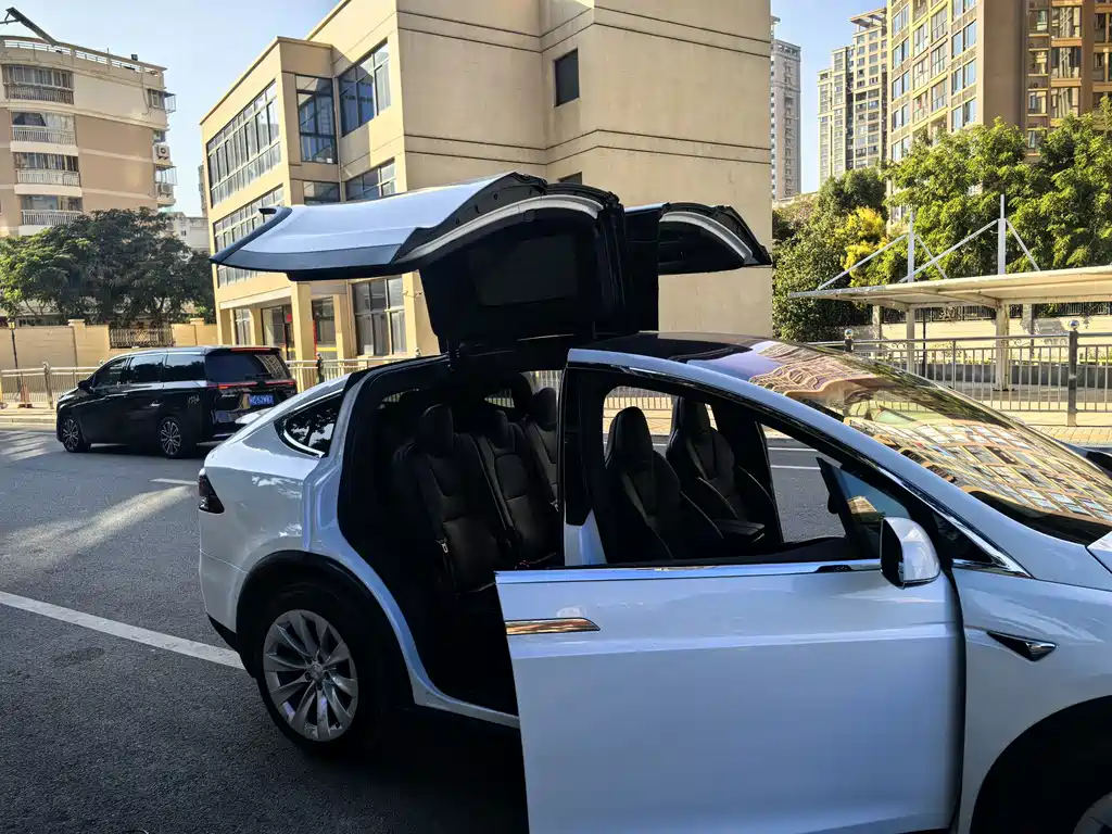 Tesla Model X 2018 — фото 6