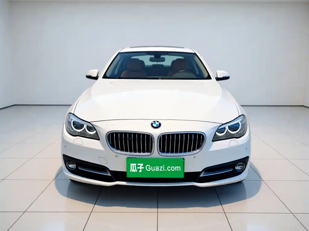 BMW 5 Series 2016 — фото 24