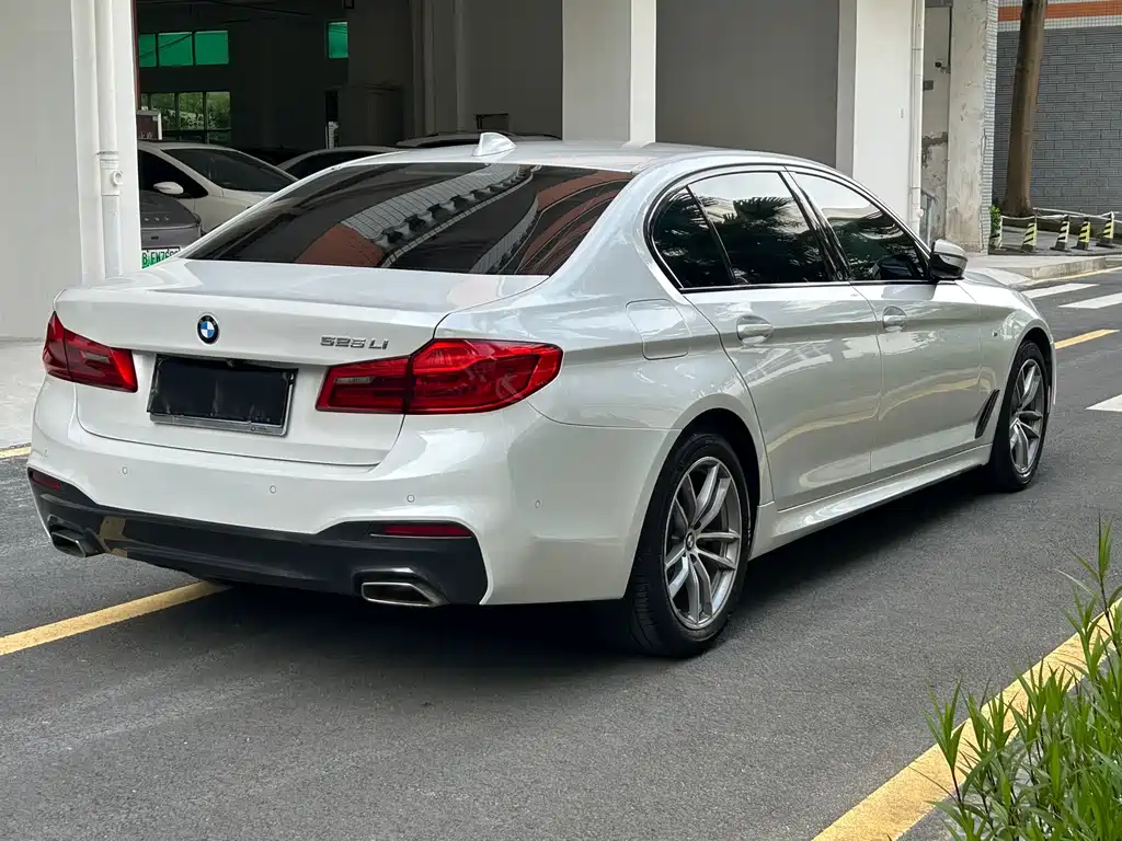 BMW 5 Series 2019