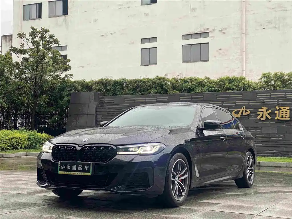 BMW 5 Series New Energy 2022