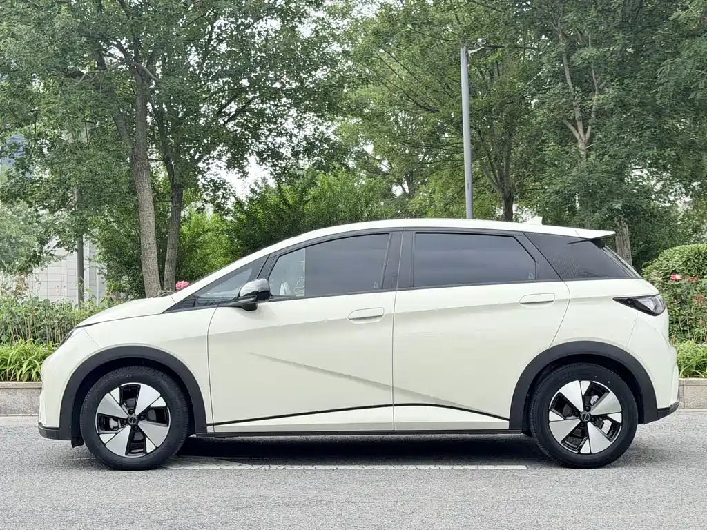 BYD Dolphin 2023