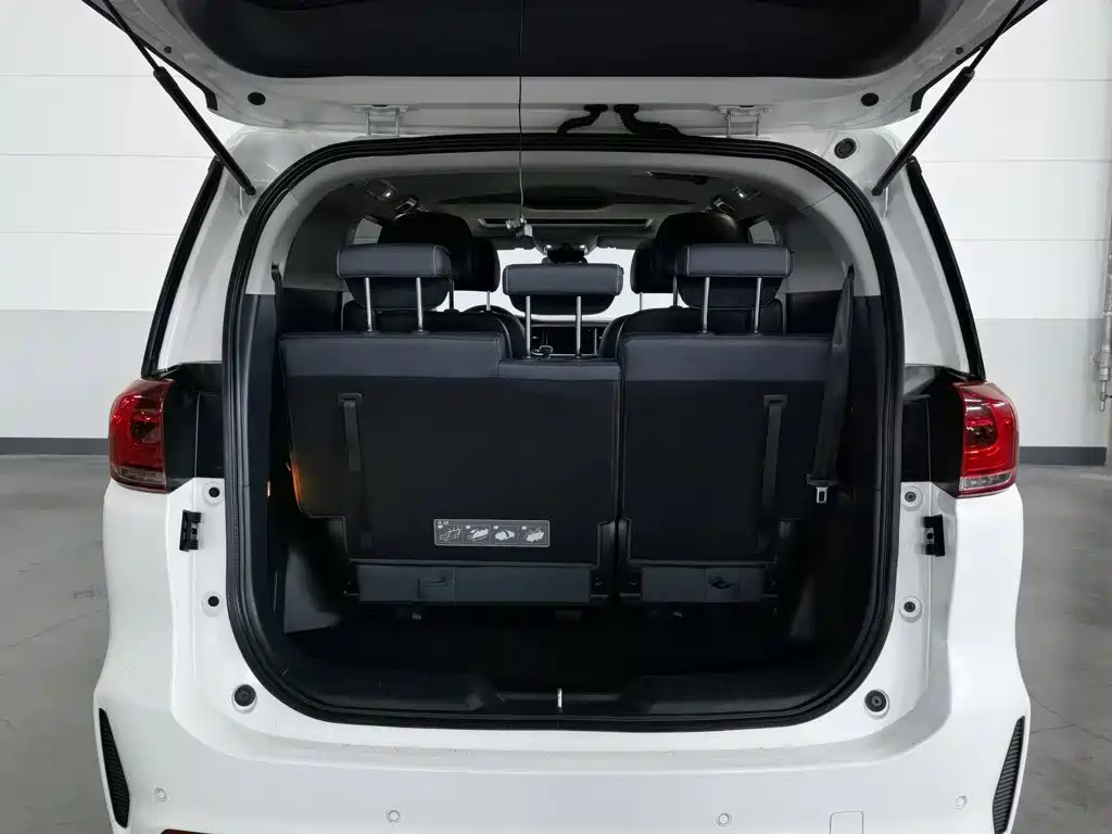 GAC Trumpchi M8 2020 — фото 16