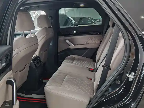 BYD Tang New Energy 2024