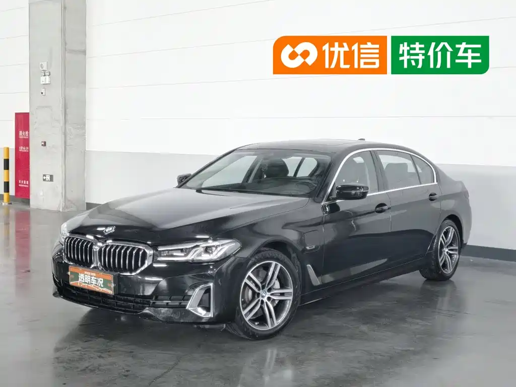 BMW 5 Series New Energy 2021