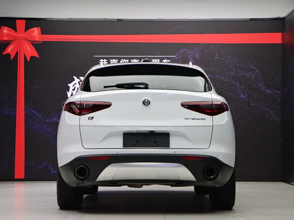 Alfa Romeo Stelvio 2019 — фото 5