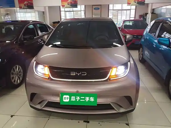 BYD Dolphin 2024