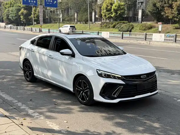 Geely Binrui 2023