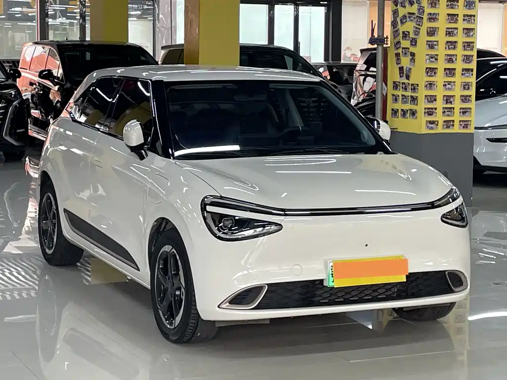Dongfeng Nano 01 2024