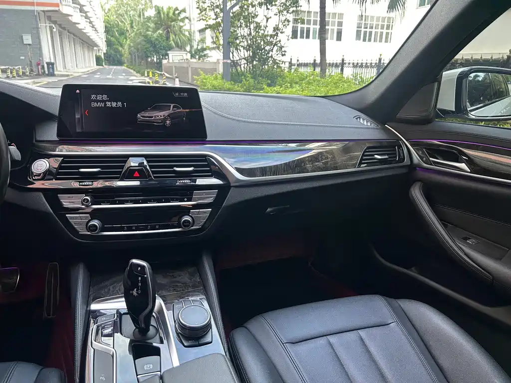 BMW 5 Series 2019 — фото 14
