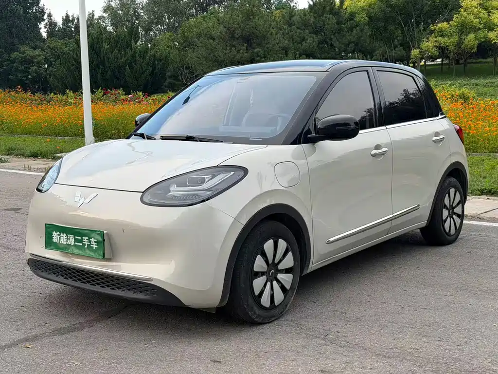 Wuling Bingo 2024
