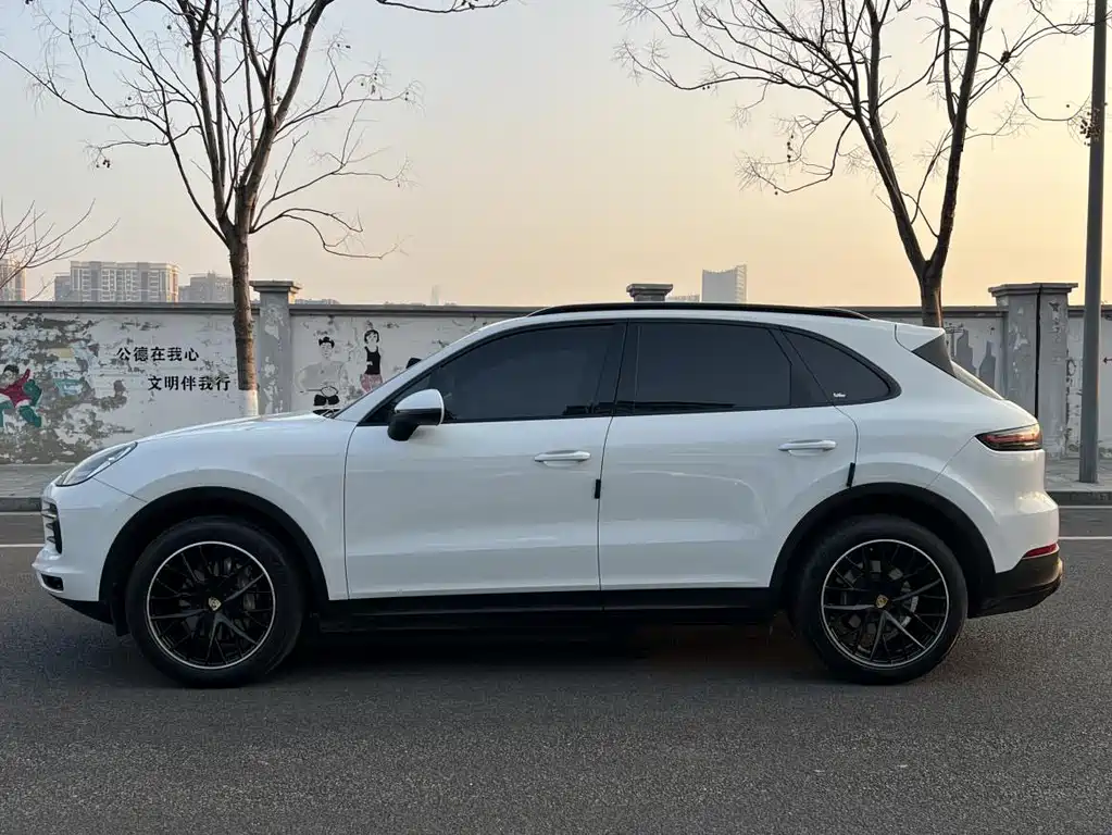 Porsche Cayenne 2019 — фото 13