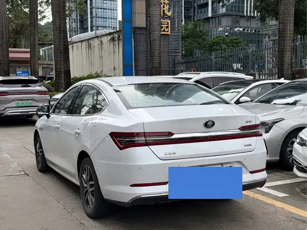 BYD Qin Pro New Energy 2020