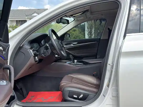 BMW 5 Series New Energy 2019