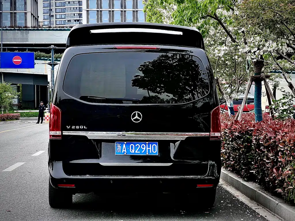Mercedes-Benz V-Class 2018 — фото 6