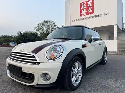 MINI MINI 2012