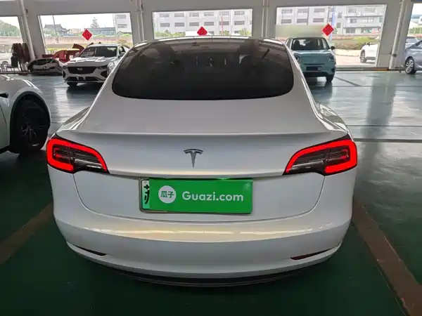 Tesla Model 3 2019