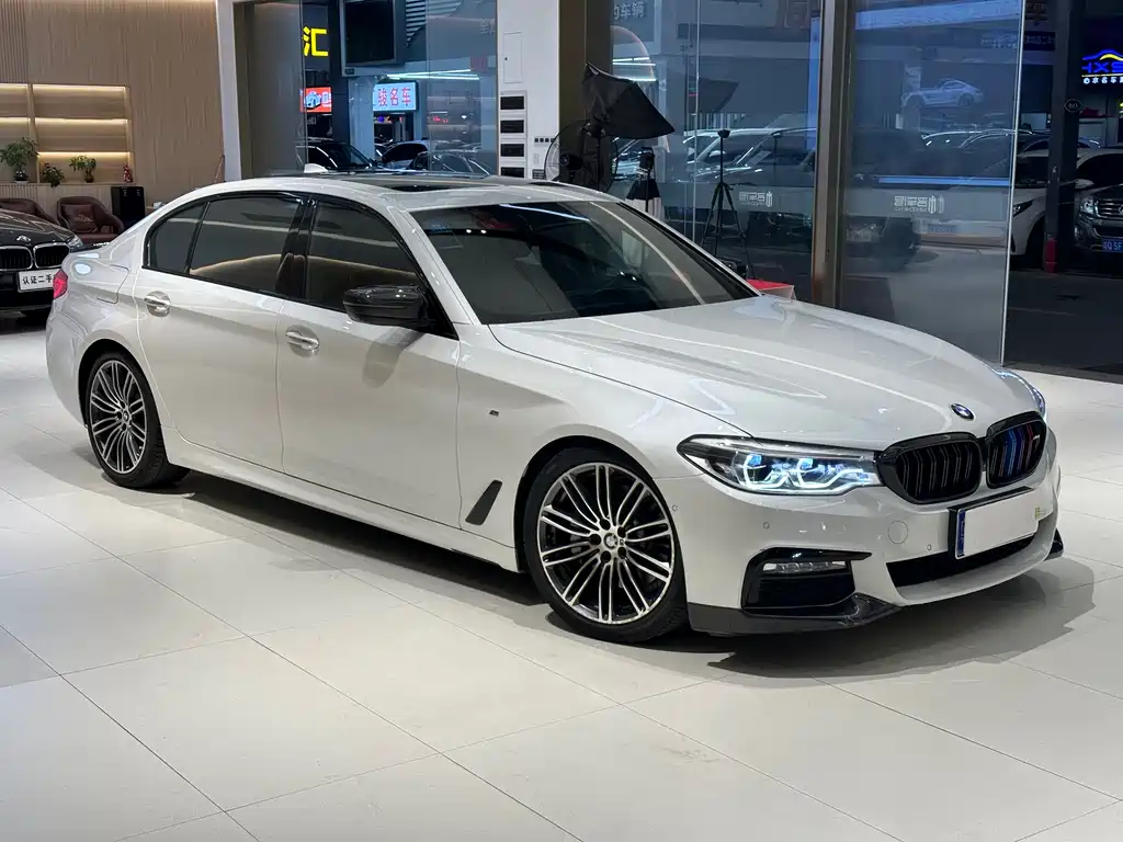 BMW 5 Series 2017 — фото 3