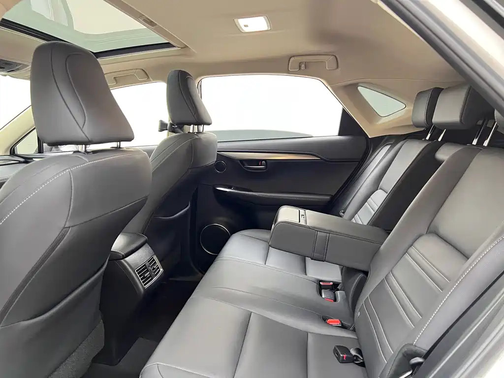 Lexus NX 2020 — фото 18