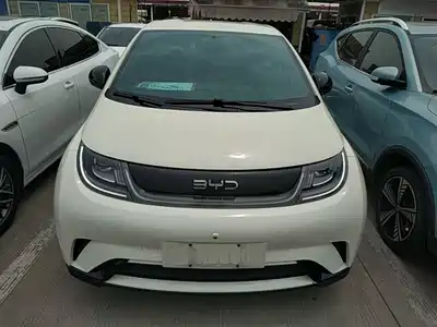 BYD Dolphin 2024