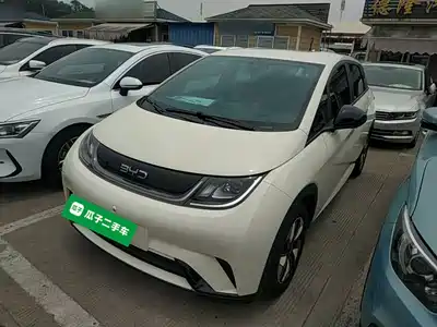 BYD Dolphin 2024