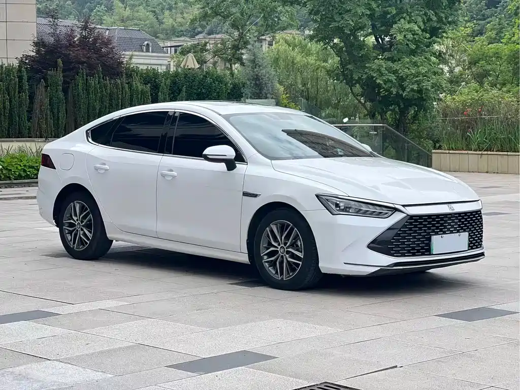 BYD Qin PLUS 2021 — фото 3