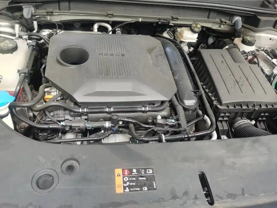 Roewe RX5 New Energy 2025 — фото 10