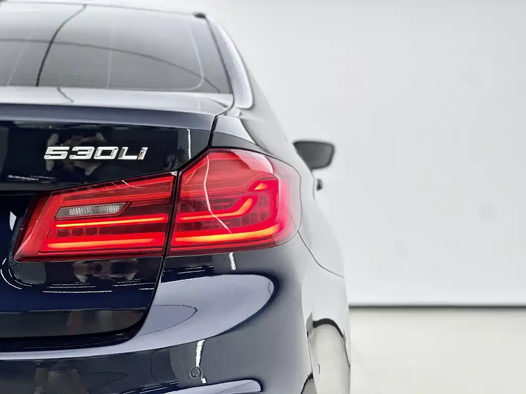 BMW 5 Series 2019 — фото 12