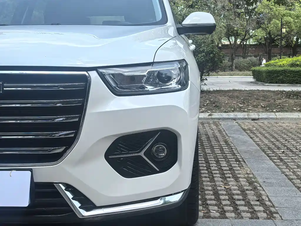 Haval H6 2021 — фото 9