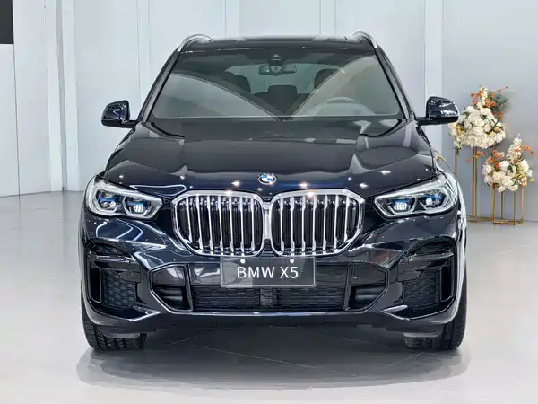 BMW X5 2023