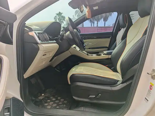 BYD Song PLUS New Energy 2023