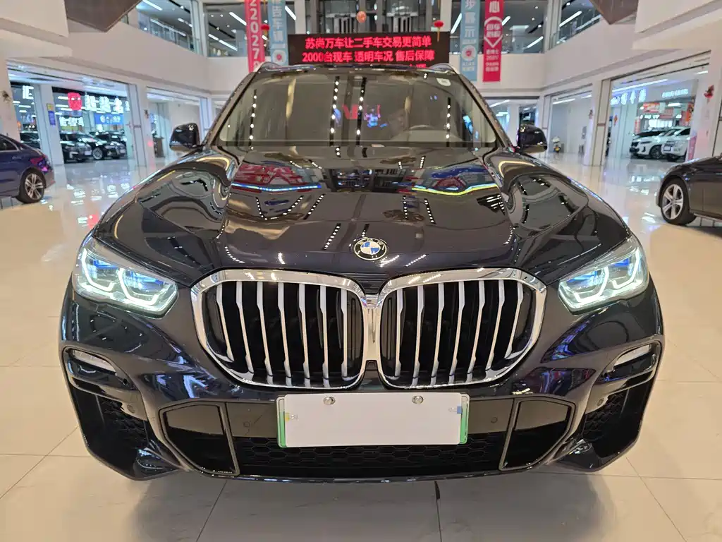 BMW X5 New Energy 2021 — фото 2