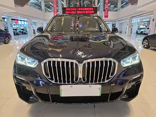BMW X5 New Energy 2021
