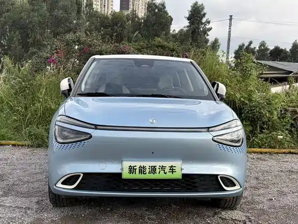 Dongfeng Nano 01 2024