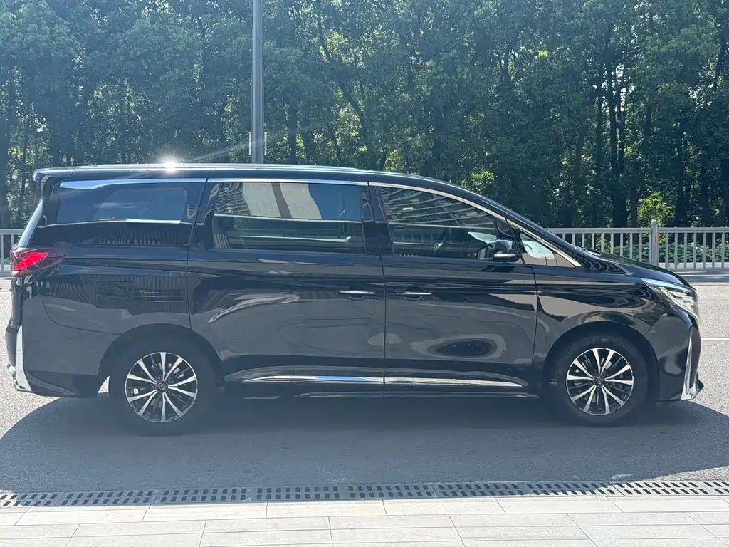 GAC Trumpchi M8 2022 — фото 4