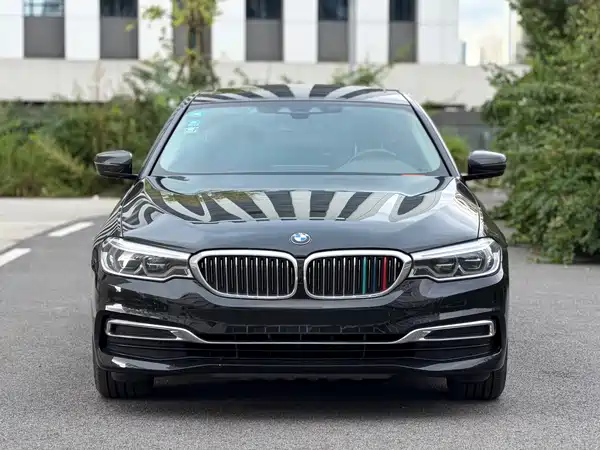 BMW 5 Series New Energy 2020