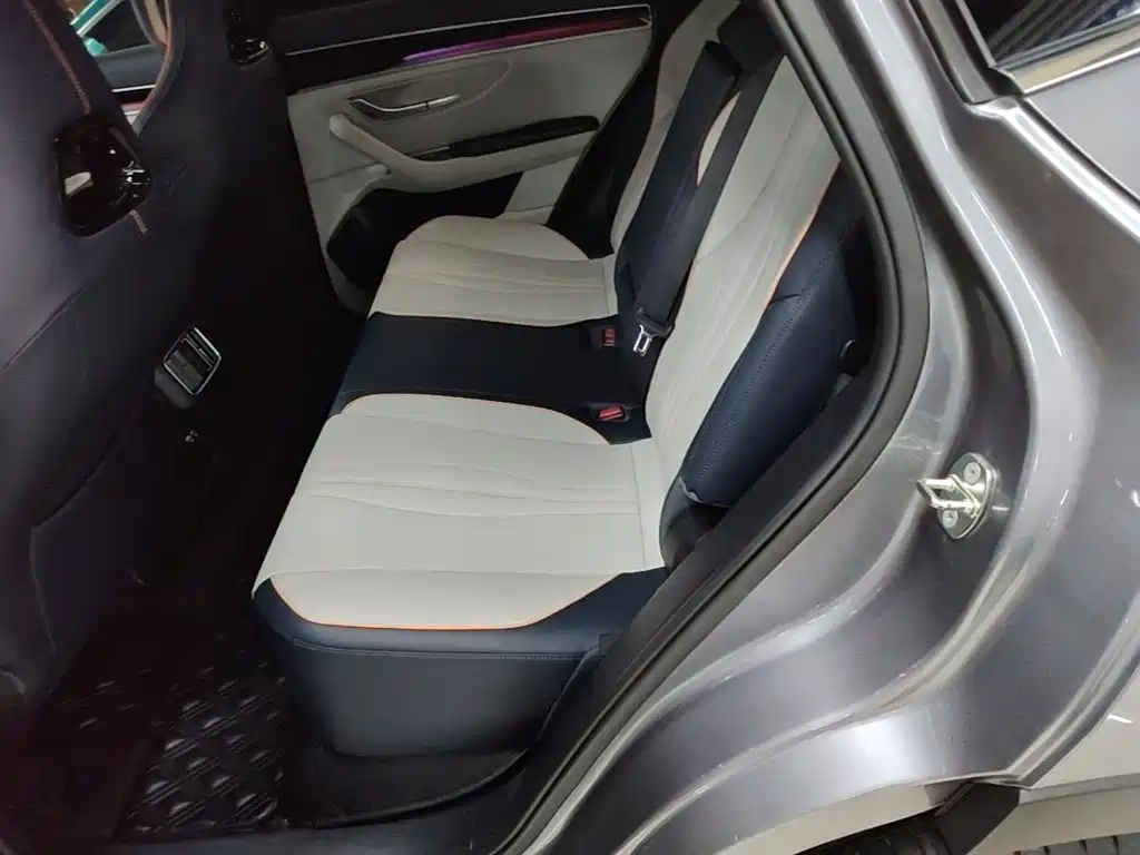 BYD Song PLUS New Energy 2024 — фото 17
