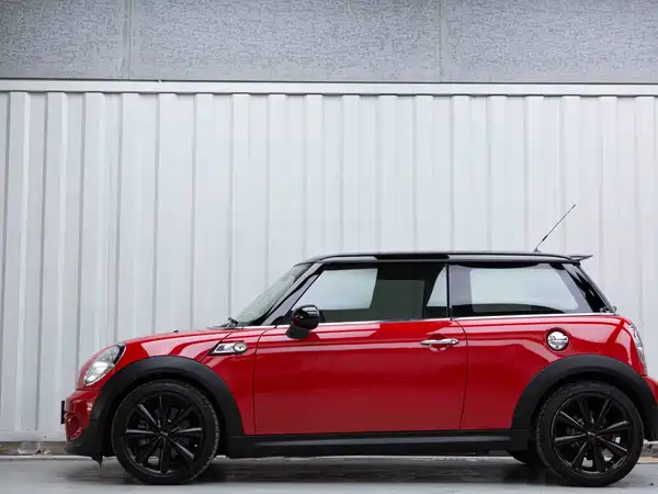 MINI 2013