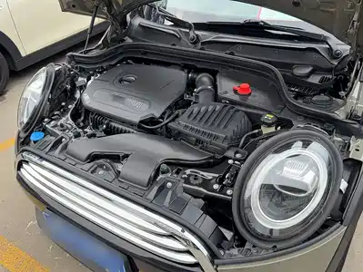 MINI MINI 2019