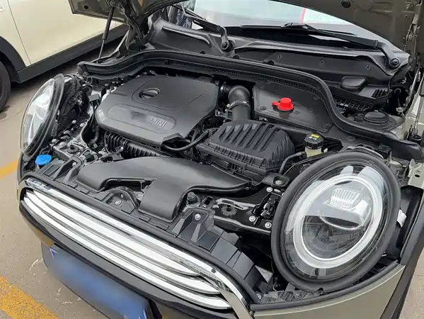 MINI MINI 2019