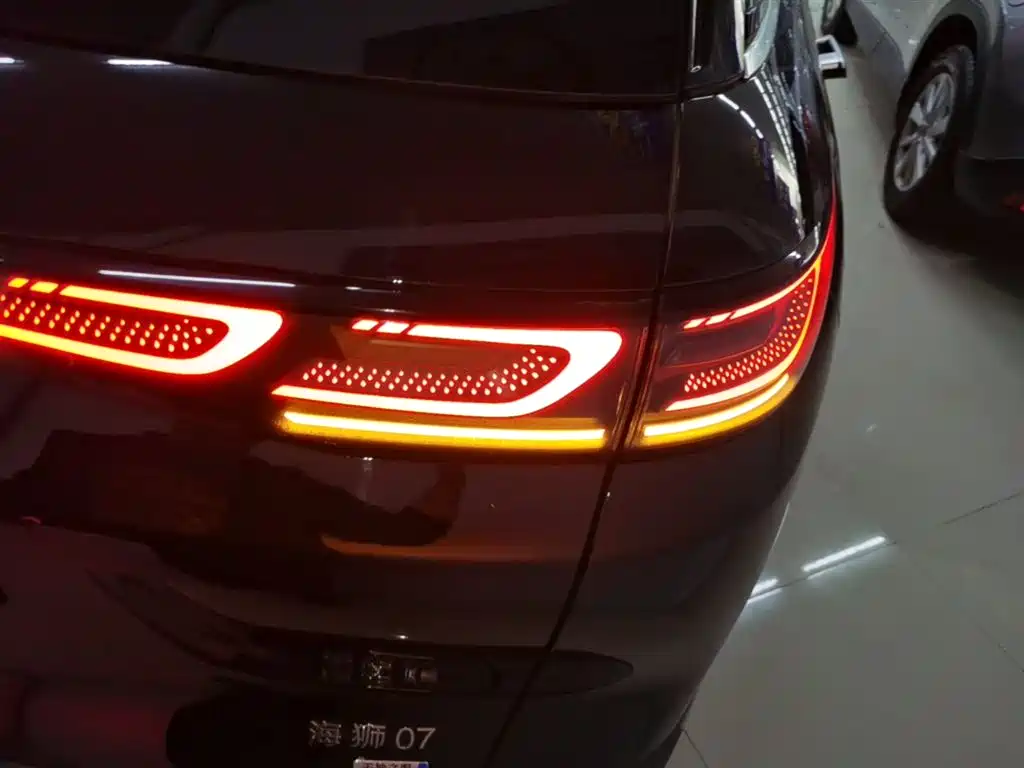 BYD Sealion 07 DM-i 2025 — фото 8