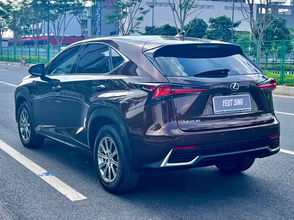 Lexus NX 2019 — фото 5