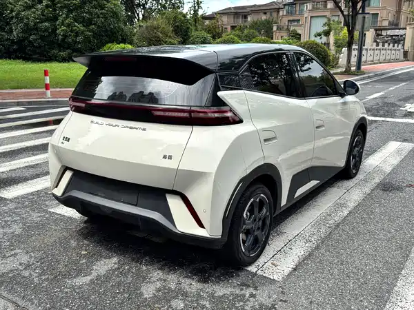 BYD Seagull 2024