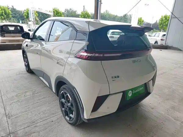 BYD Seagull 2025
