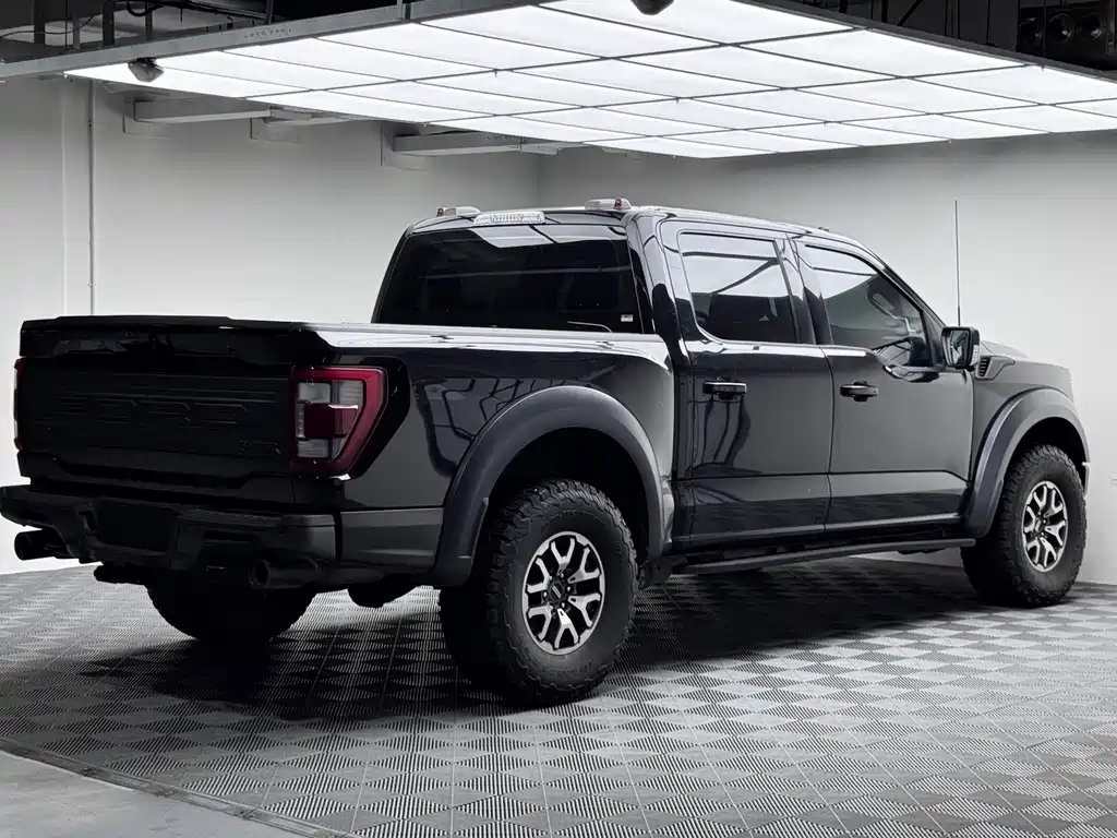 Ford F-150 Raptor 2023 — фото 5