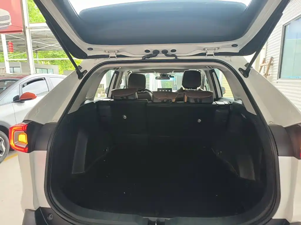 Toyota Wildlander 2020 — фото 12
