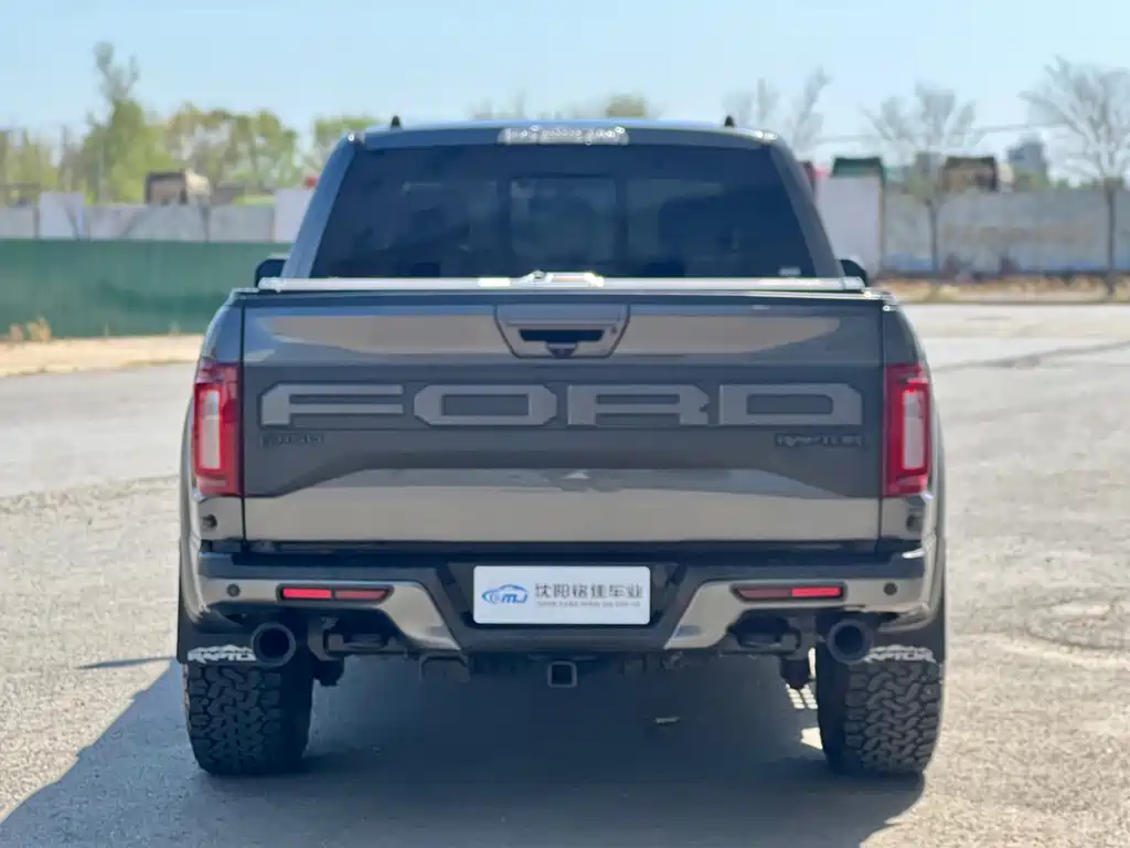 Ford F-150 Raptor 2019 — фото 15