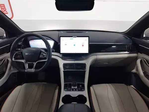 BYD Song PLUS New Energy 2024
