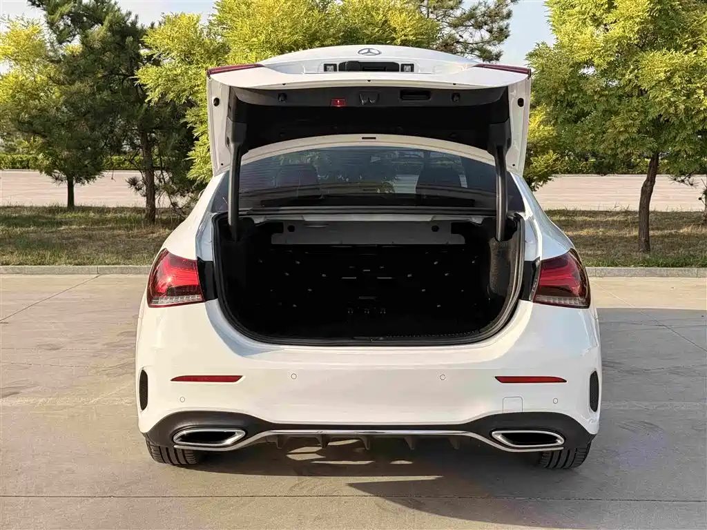 Mercedes-Benz A-Class 2020 — фото 25