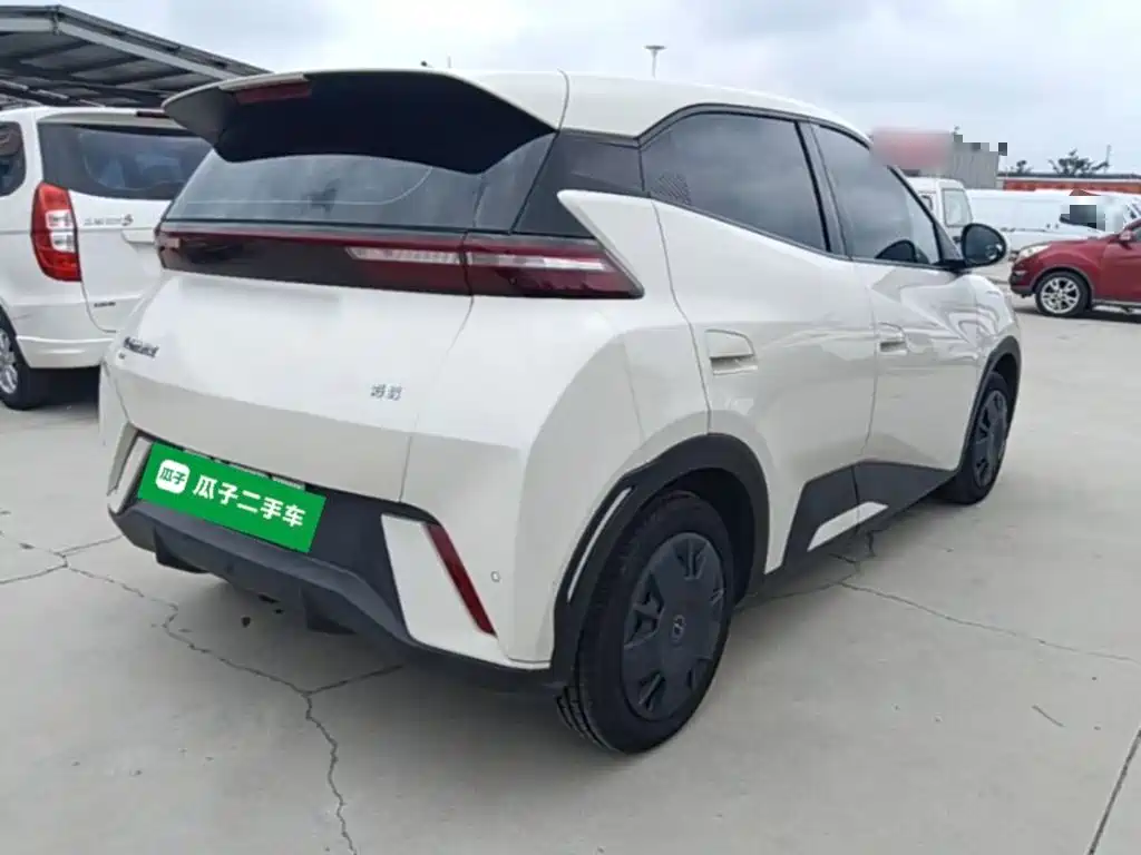 BYD Seagull 2024